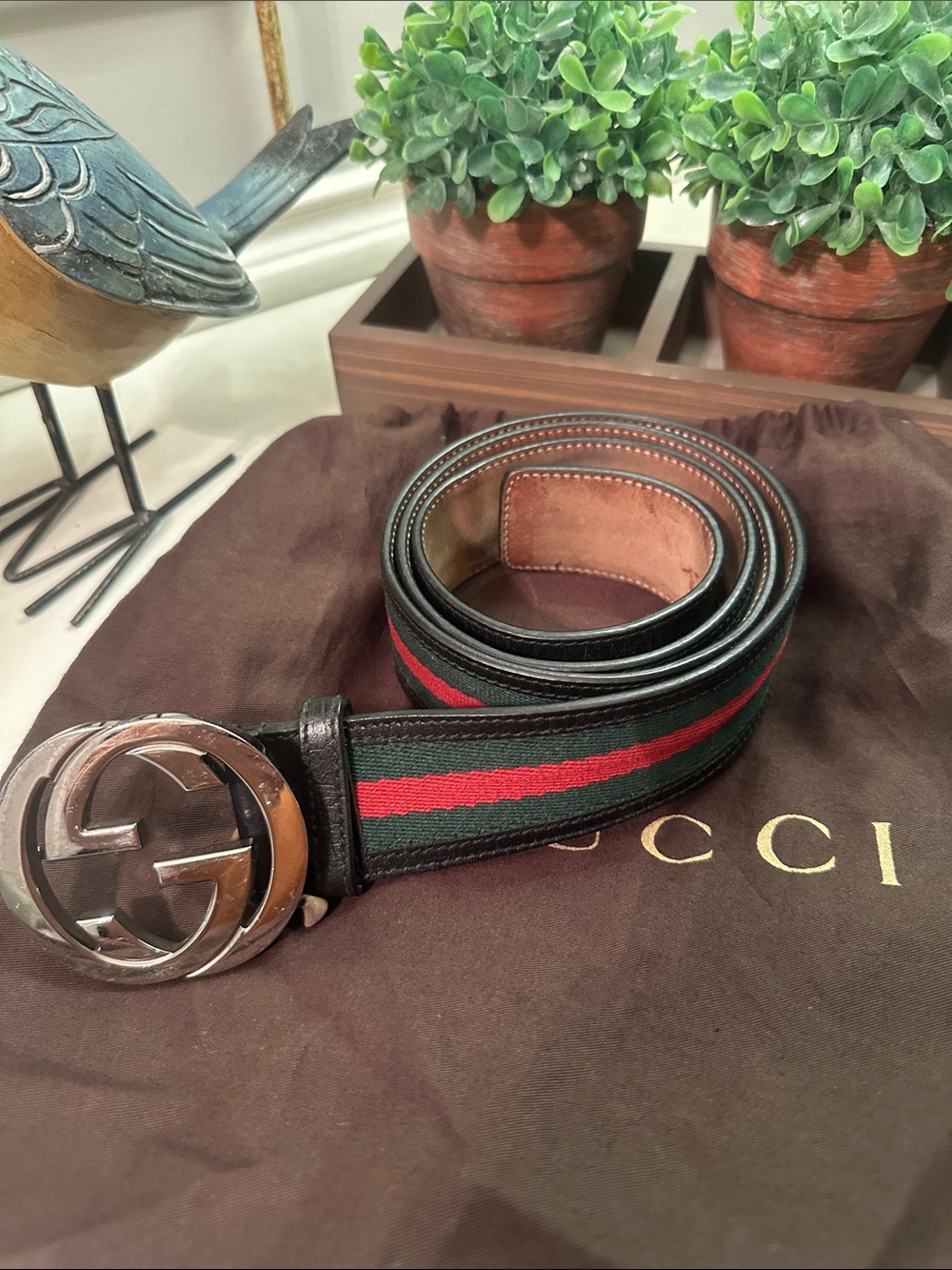 Gucci  Belt  Sherry Line 105.42